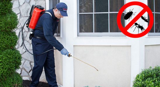 Alaçam Dezenfeksiyon böcek ilaçlama ve haşere kontrolü — ilaclama-tr.com